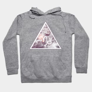 Desaturated Capricorn Hoodie